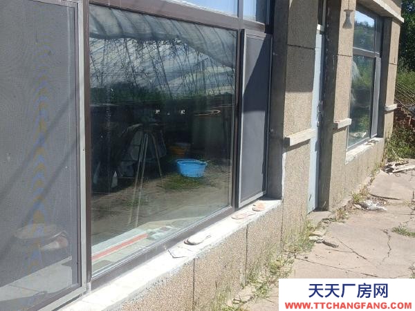 昂昂溪個人住家房五間大板房可做服裝廠