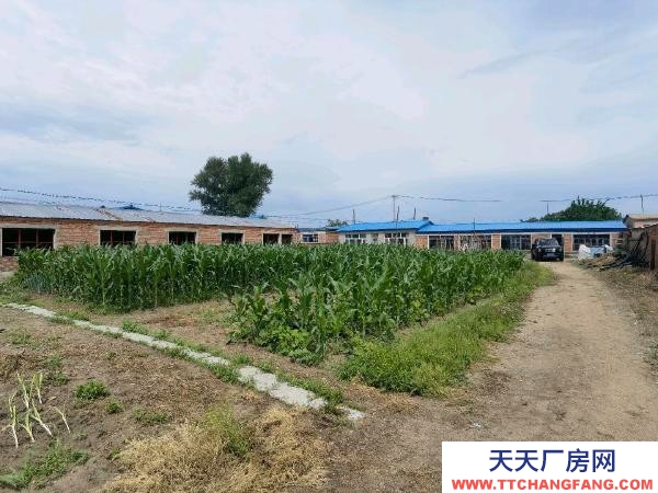 甘南房照面積：119平，無照住人80平，廠房200平 養殖廠房