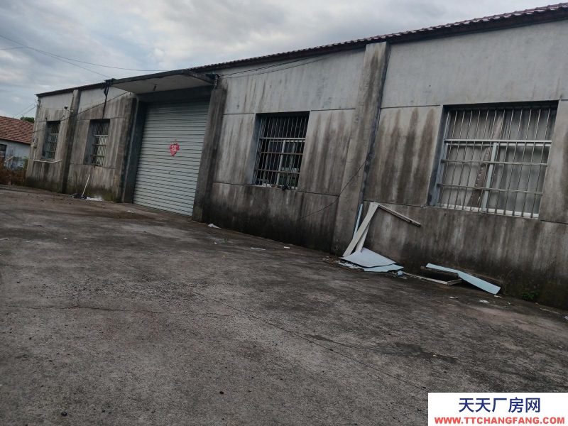 衢州市衢江(出租) 出租衢江沈家樟潭街道梨園村（華潤醫藥公司后面）