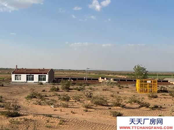 吳忠市鹽池養(yǎng)殖廠 養(yǎng)殖方便快捷,可養(yǎng)羊,養(yǎng)雞。草料房,洗羊池,水井,住宅區(qū)都有