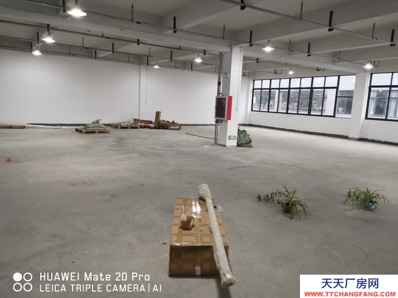 衢州市衢江(出租) 出租衢江東港萬洋倉庫廠房倉庫 600方 可分割