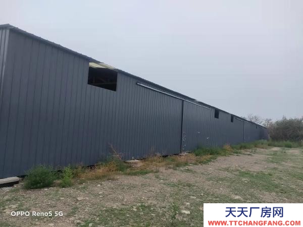 石嘴山市大武口茶葉廠房  城北果園18畝，廠房1200平米