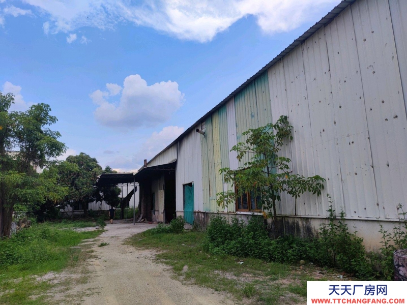 (出租) 潮州饒平新裝修鐵皮廠房，一樓2000平方和800平2個廠