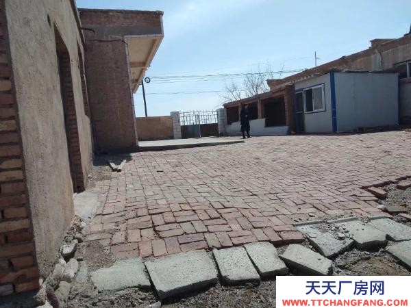 石嘴山市惠農養殖場出租（適合養豬、養、牛）