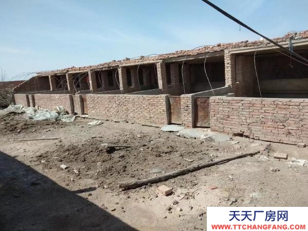 石嘴山市惠農養殖場出租（適合養豬、養、牛）