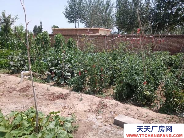 石嘴山市惠農機加工廠房 自己的產業，手續齊全，價格可談出租出售均可談