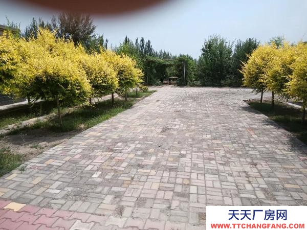 石嘴山市惠農機加工廠房 自己的產業，手續齊全，價格可談出租出售均可談