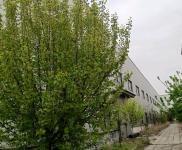 (出租) 駐馬店上蔡蔡州大道路北,交通方便,附近工業(yè)群繁榮。