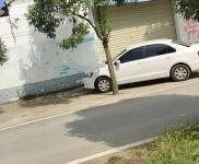 (出租) 駐馬店平輿自己老家廠房，個(gè)人土地約2000平，獨(dú)立變壓器