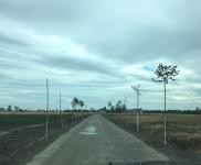 (出租) 駐馬店泌陽縣泰山三官廟 養家禽場地