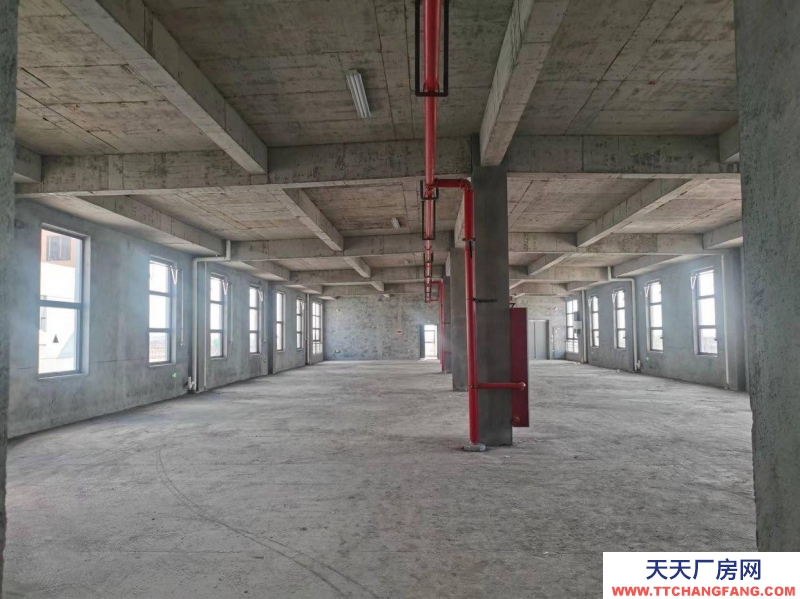 衢州市龍游(出租) 全新廠房,自帶天然氣,蒸汽,污水處理,雙電梯 機(jī)械制造 重工業(yè)