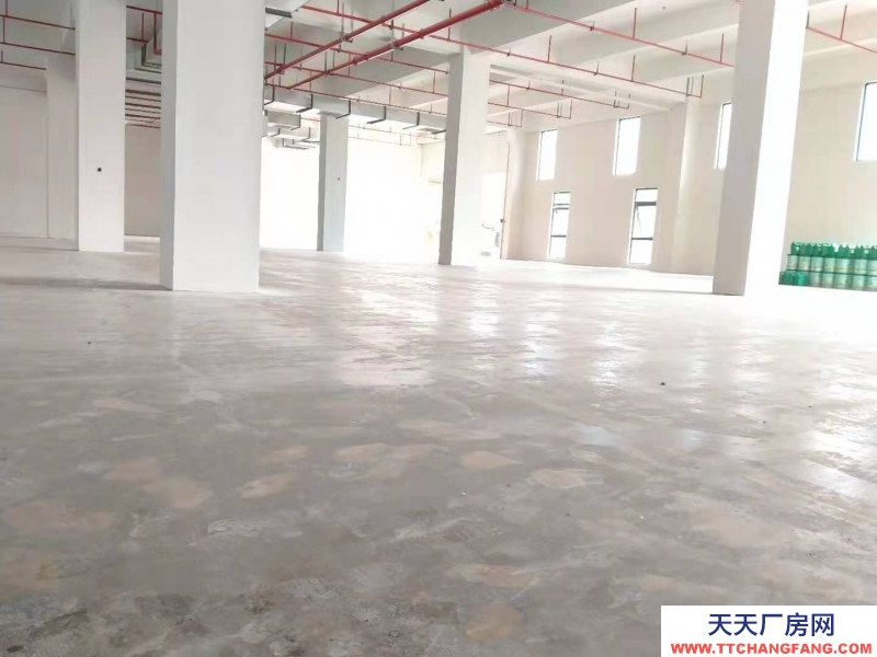 衢州市龍游(出租) 現房廠房出租 單一層 2000平左右 特殊膳食食品