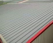 (出租) 駐馬店市遂平縣現出租標準廠房可做倉庫和廠房