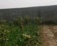 (出租)駐馬店遂平 位于西劉莊居委會南劉莊南地