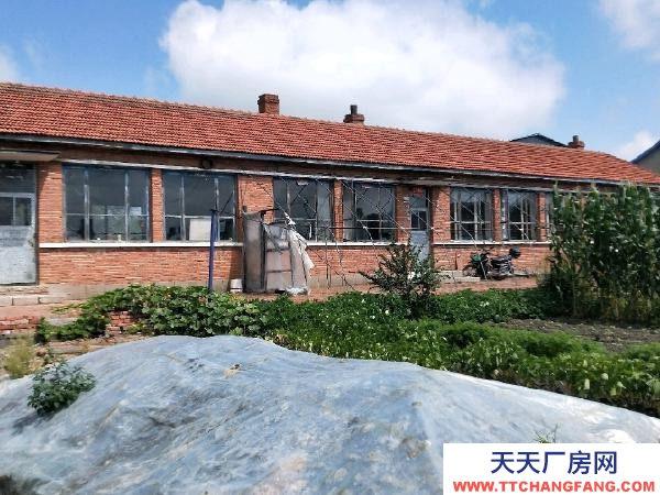 虎林市東城鎮永豐村三隊去慶豐路邊兒