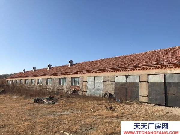 密山賣豬場（也可出租）兩棟豬舍，交通便利，可隨時打電話看房