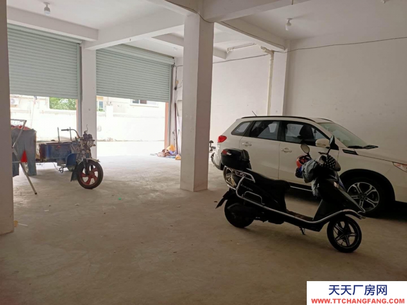 衢州市龍游(出租) 交通方便 敞明亮 可以辦公 也可以做倉庫