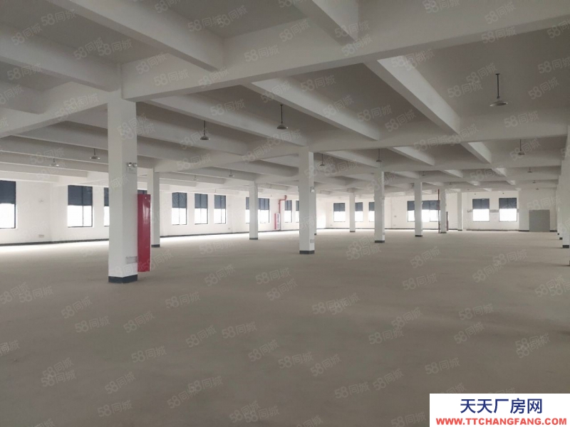 衢州市龍游(出售) 全新標準廠房適合輕加工企業進駐