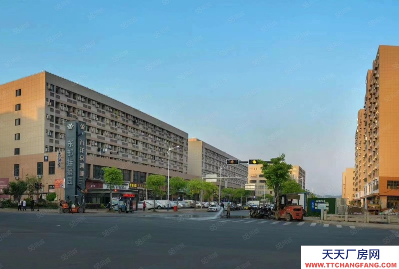 衢州市龍游(出售) 獨棟廠房出售，大小面積都有，帶獨立產權，花園式廠房