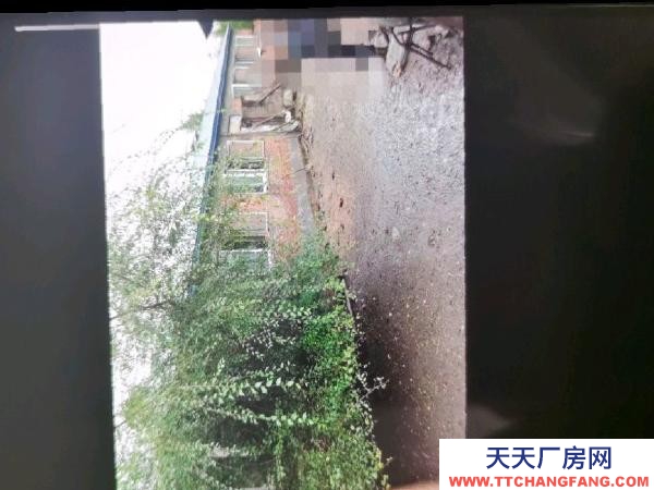 東山適合倉庫，廠房，養殖