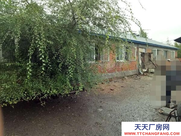 東山適合養殖，有上下水，有院子可以自己種菜