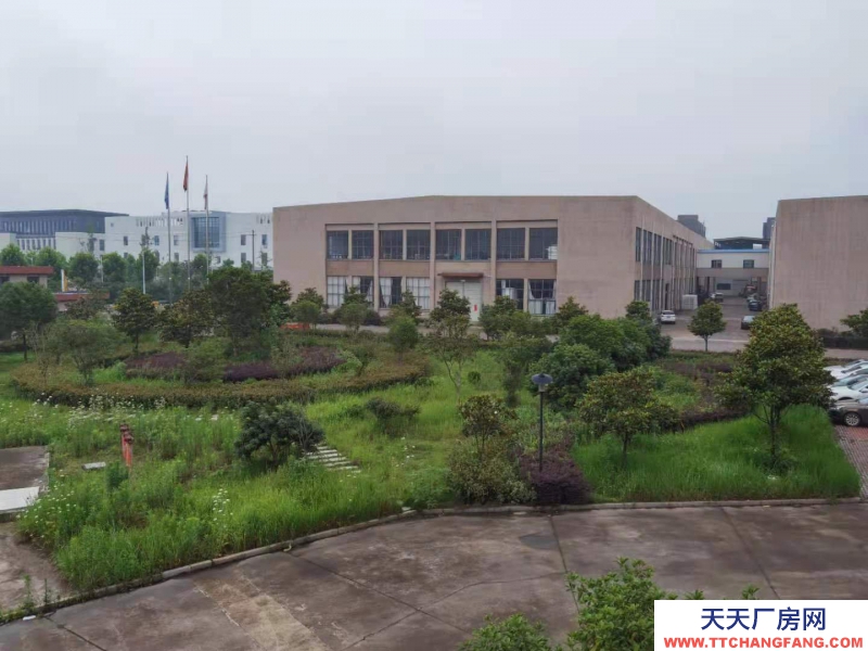 衢州市江山(出租) 出租山海協(xié)作廠房江山市區(qū)和峽口桐村 印花類、鍍金類