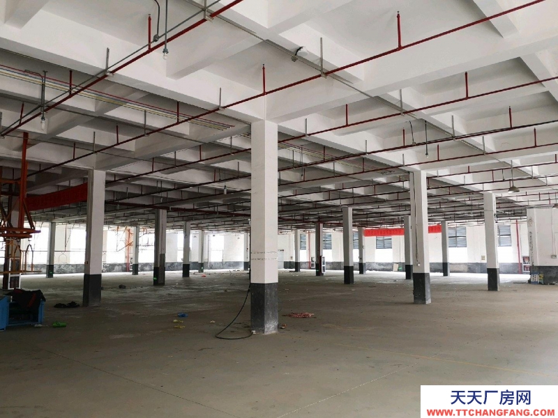 衢州市江山(出租) 交通便利，性價(jià)比高，適合倉(cāng)儲(chǔ)辦公   食用油、油脂及其制品