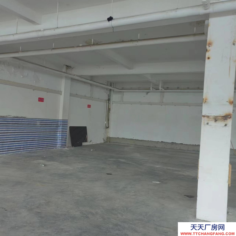 (出租) 拉薩城關蔡公堂鄉廠房 靠近市區 交通便利水電齊全可做小型加工