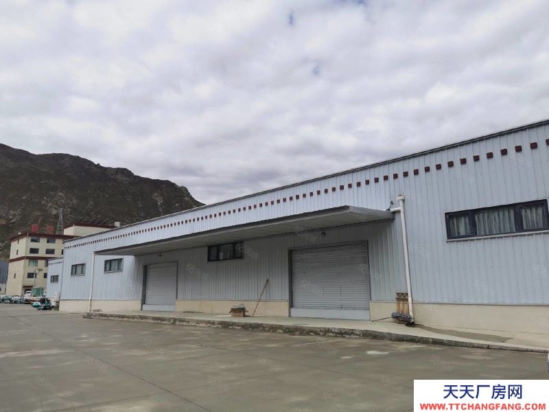 (出租) 拉薩堆龍德慶柳梧高新區(qū) 標準廠房 恒溫恒濕 1100平可做液態(tài)奶類