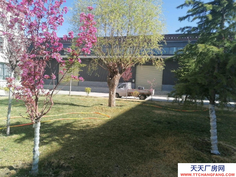 (出租) 拉薩堆龍德慶在大馬路邊，交通方便，廠房是鋼架結(jié)構(gòu)高八米可做其他乳制品類