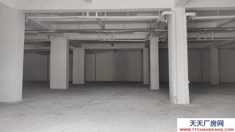 (出租) 拉薩堆龍德慶區(qū)乃瓊鎮(zhèn)乃瓊村2組倉庫成品倉庫