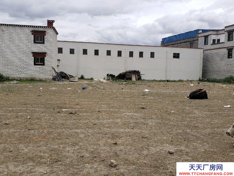 (出租) 拉薩堆龍德慶新建材市場(chǎng)斜對(duì)面 倉(cāng)庫(kù) 6500平米建材倉(cāng)庫(kù)