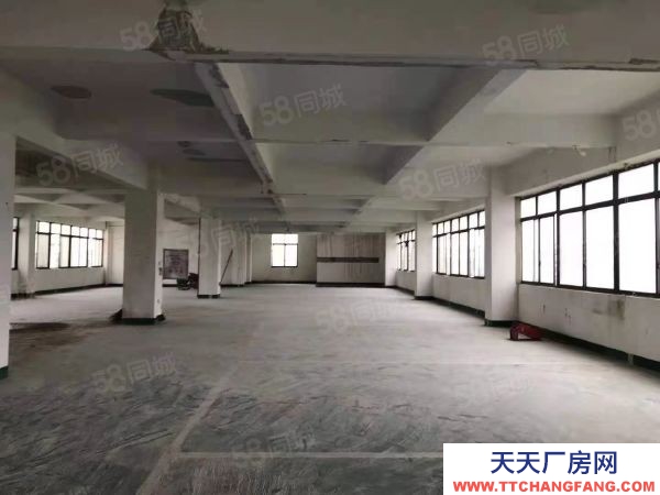 福州市長樂保健食品廠房  高鐵長樂站附近營濱路全新廠房出租