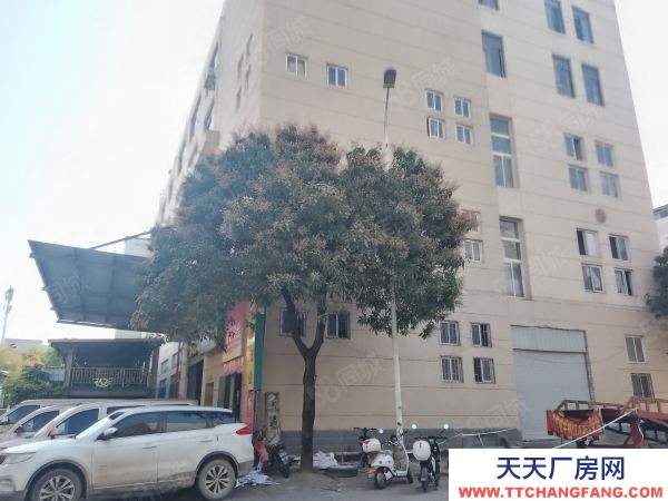 福州市長樂機加工廠房 長樂松下，占地22畝，價格實惠