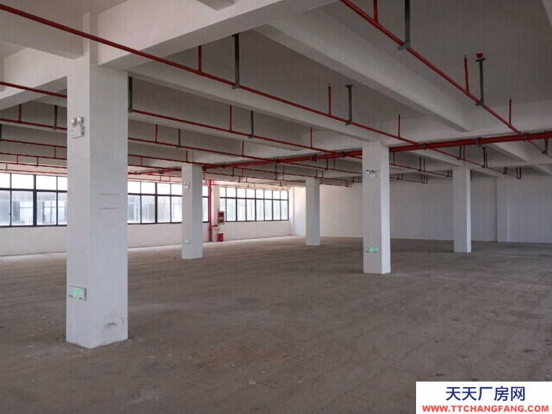 舟山市普陀(出租) 開發商直租全新標準現廠房500㎡起環境好交通便利 食糖