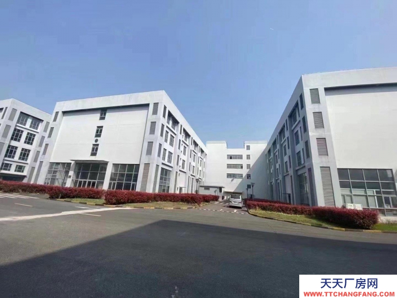 舟山市普陀(出租) 園區(qū)直租小面積廠房500平起可環(huán)評(píng)有政策扶持 豆制品