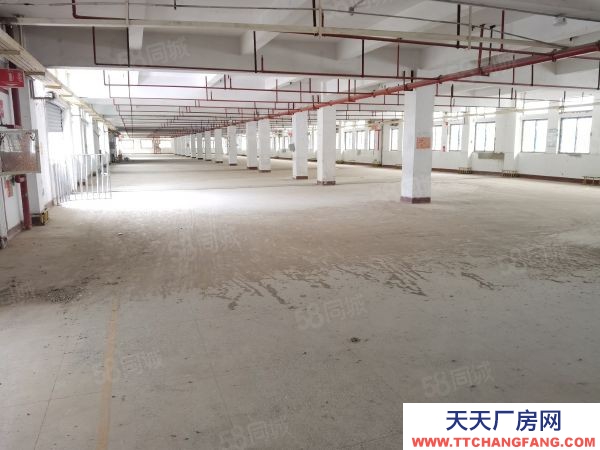 福州市馬尾啤酒廠房 海峽高新產業園，招商部直租，價格便宜