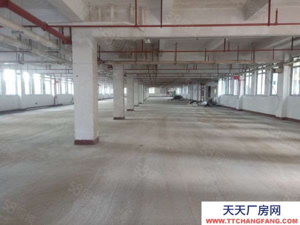 福州市馬尾機加工廠房 海峽高新雙創產業園，招商部直租免中介費