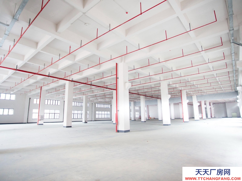 (出租) 廣州白云可分租政府物業(yè),紅本園區(qū)全新通用廠房,商事稅務(wù)一站辦理可休閑食品加工