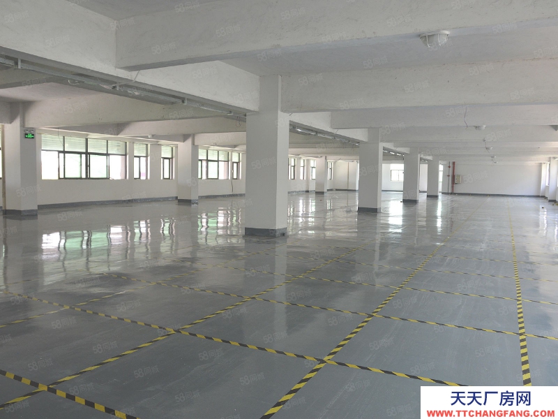 (出租) 廣州白云高標7萬方坡道庫，倉庫招租，高速附近，物流園倉庫