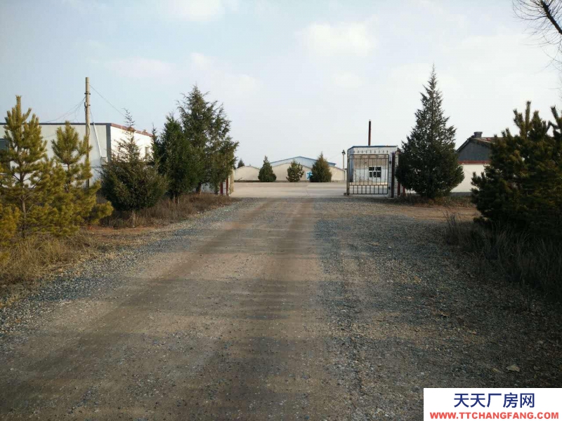 (出租) 出租伊金霍洛旗新街鎮210國道178公里正對面