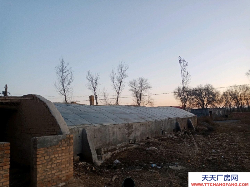 (出租) 鄂爾多斯養豬場轉租，有固定客戶。。