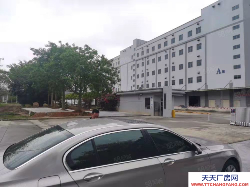 (出租) 廣州花都低價高標倉出租丙一級消防物流倉庫