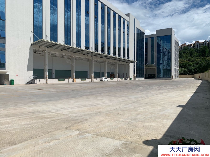 (出租) 廣州花都機場周邊，高速路口，超大空地，適合各行各業物流倉庫