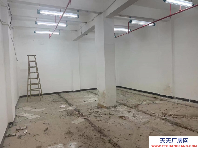 (出租) 廣州越秀東風(fēng)東路國(guó)有資產(chǎn)出租物資倉(cāng)庫(kù)