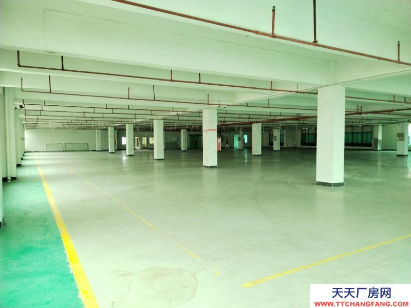 (出租) 廣州增城新塘鎮(zhèn)6000平米電商倉(cāng)庫(kù)招租