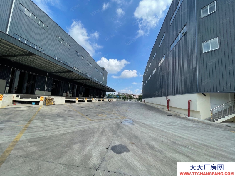 (出租) 廣州增城開(kāi)發(fā)區(qū)丙二類(lèi)消防高標(biāo)準(zhǔn)物流倉(cāng)庫(kù)