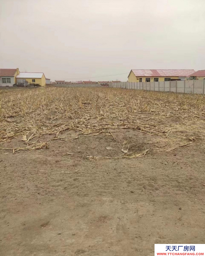 (出售) 通遼出售橋北遼河鎮曹家村農村大院 適合養殖 居住