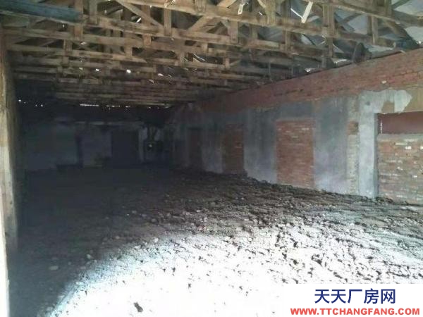 集賢130平倉庫出租福利橋頭