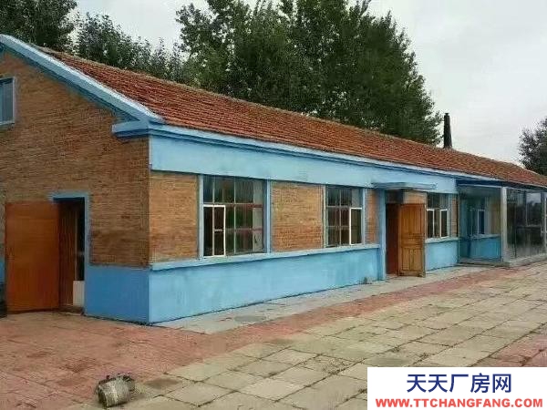 薩爾圖自家小院精心修飾急用錢出售,自家小院精心打理急用錢出售